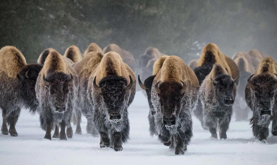 上海泽宇智能科技有限公司轮播图4