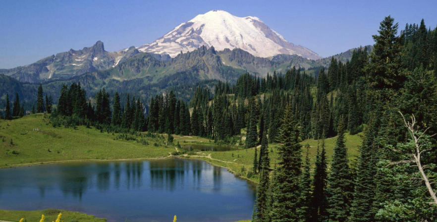 上海泽宇智能科技有限公司轮播图3